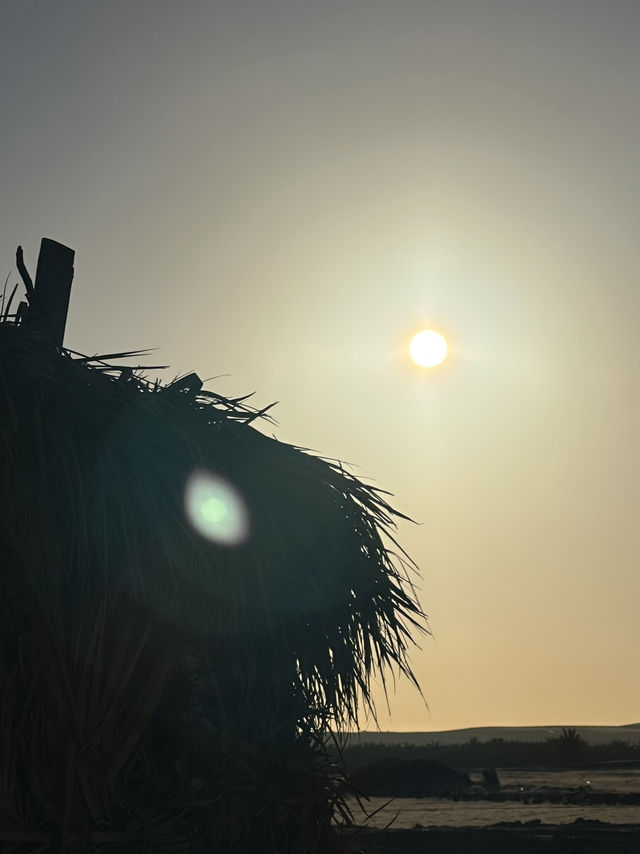 Hayaat: Wheee The Desert Steams