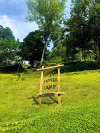 WTF Coffee Camp