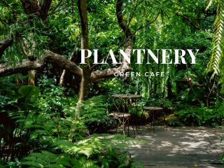 Plantnery Green cafe 