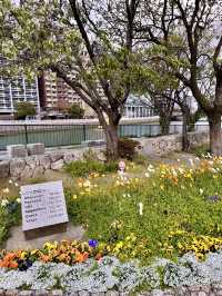 🇯🇵 Fukuoka’s Timeless Charm: Red Brick Culture Museum