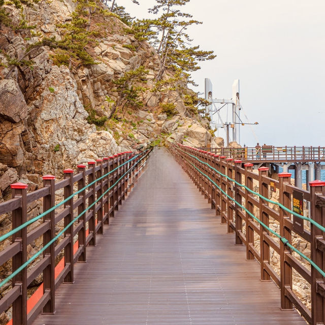 🌊 "Sea Caves & Dragon Legends: Hiking Samcheok’s Chogok Yonggul Coastal Trail