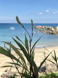 Beautiful Trung Luong beach