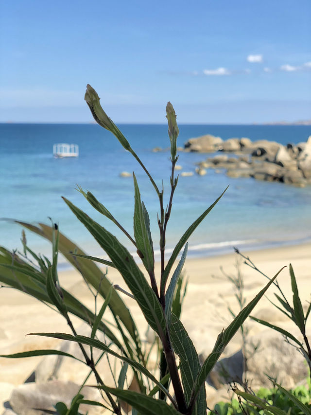 Beautiful Trung Luong beach