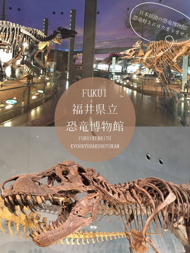 夏休みにもぴったり！また行きたくなる国内博物館🌟