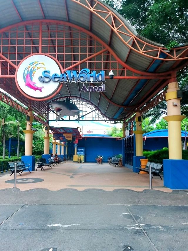Dive Into the Wonders of SeaWorld Ancol