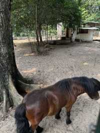 Saigon Zoo
