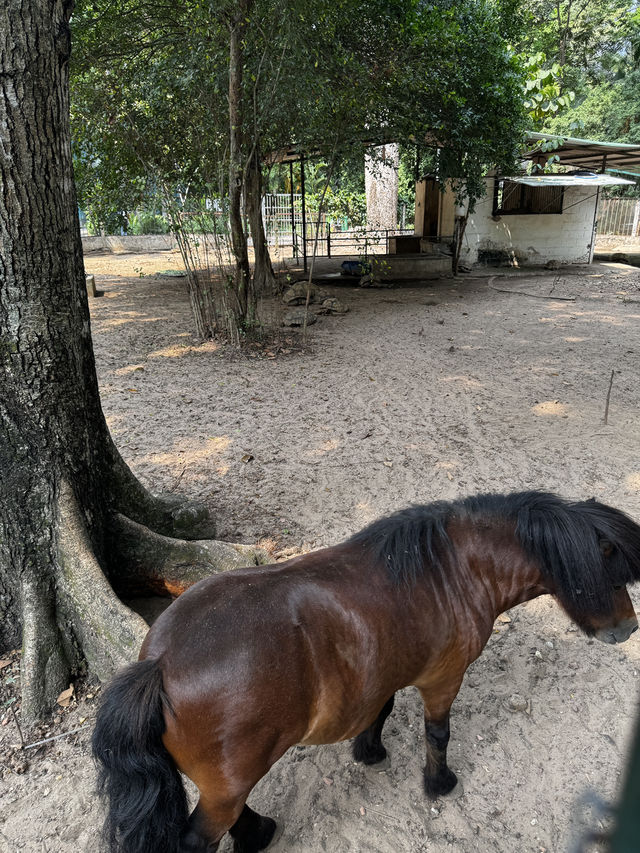 Saigon Zoo