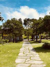 Engaging Activities for Families & Refreshing Hallabong Drinks