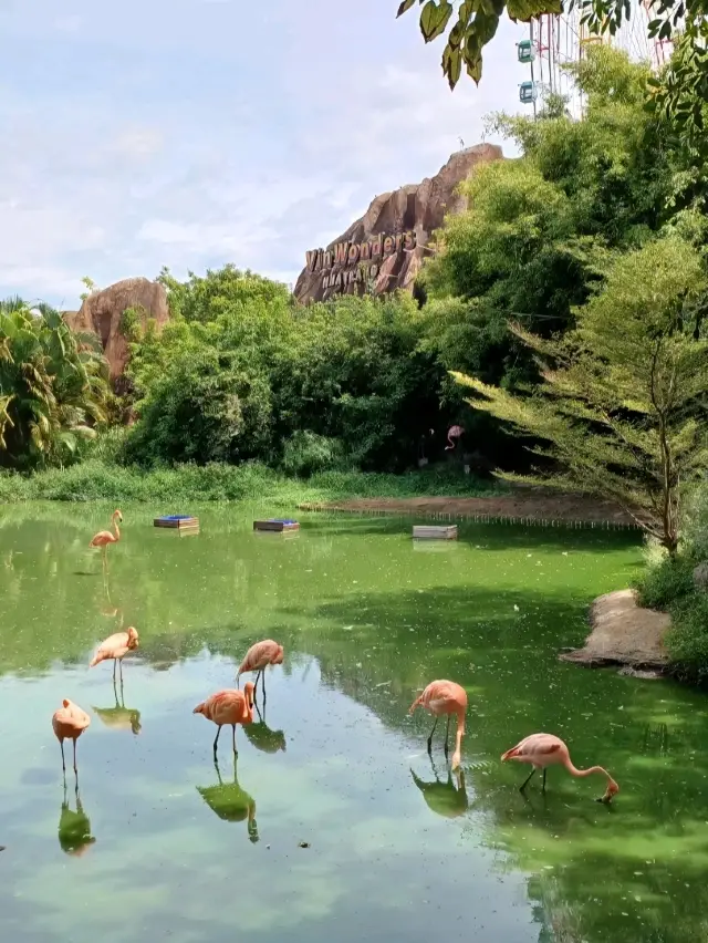 VinWonders Zoo
