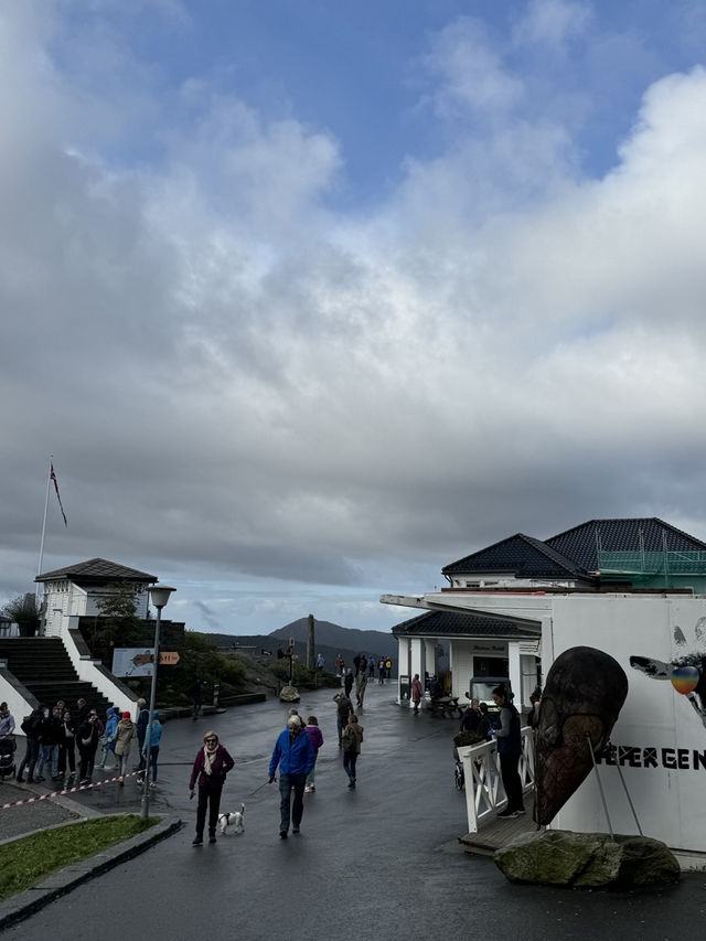 플뢰엔산 전망대 (Mount Fløyen / Fløyfjellet)
