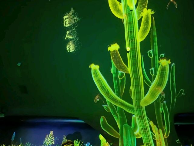 Enchanted forest light show at the Greenhouse