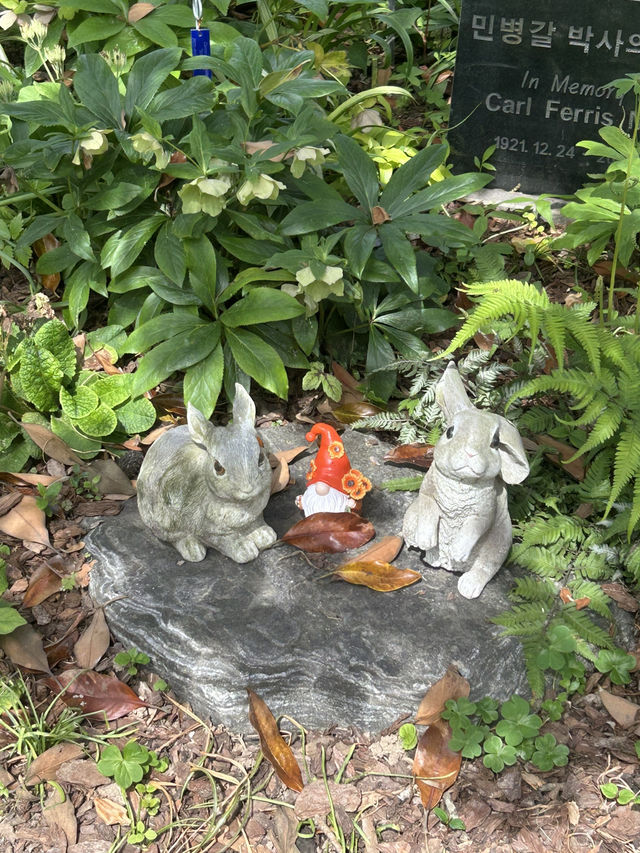 푸르른 숲길과 바다빛이 공존하는 치유의 정원, 힐링 산책 🌿🌊 
