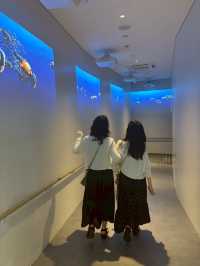 ★いまをときめく水族館★神戸須磨シーワールド