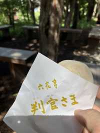【北海道・札幌市】⛩️北海道神宮〜初詣の名所〜