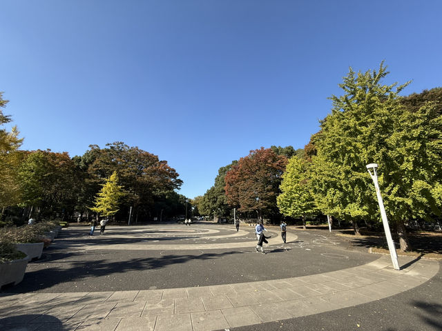 捕捉城市中的秋日金黃:代代木公園的銀杏與阿夫利拉麵饗宴  捕捉城市中的秋日金黃:代代木公園的銀杏與阿夫利拉麵饗宴