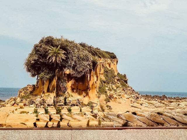 🌊⛰️ *Solo Coastal Adventure:* Heping Island Geopark – Keelung’s Natural Sculpture Gallery 