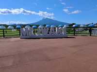 Aomori & Hiroseki 2 Day Trip