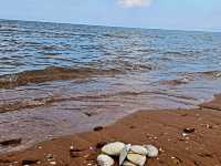 Brackley Beach
