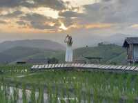 บ้านป่าบงเปียง เชียงใหม่ 🌾💚