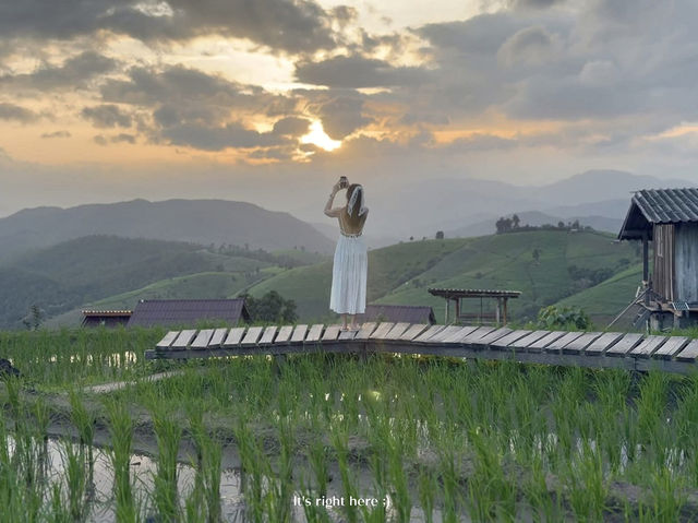 บ้านป่าบงเปียง เชียงใหม่ 🌾💚 บ้านป่าบงเปียง เชียงใหม่ 🌾💚