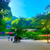 Granite Grace: A Soulful Pause at Seokguram Grotto