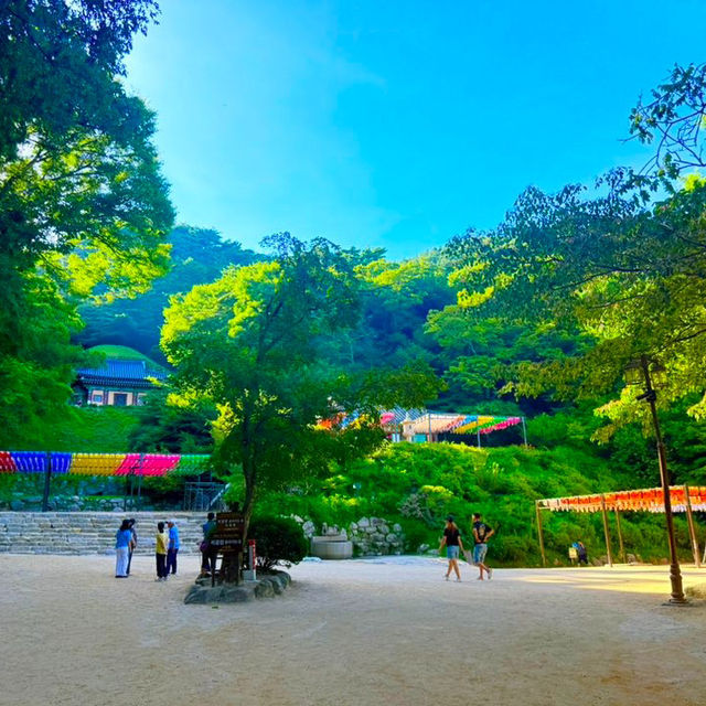 Granite Grace: A Soulful Pause at Seokguram Grotto