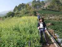 ผาแง่ม ผาสองฤดู ดอยอินทนนท์ จ.เชียงใหม่