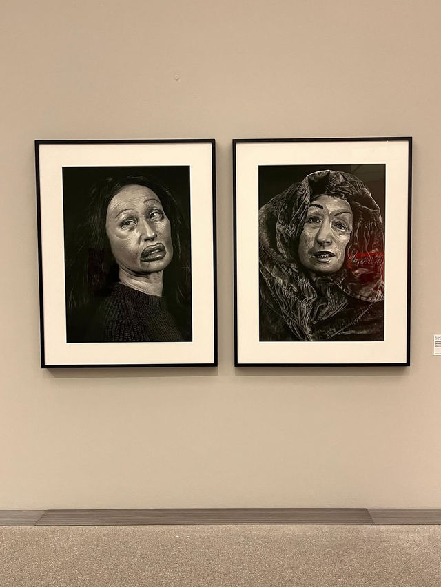 🖼️現代アートの最前線を体験「ミュンヘン現代美術館（Museum Brandhorst）」✨