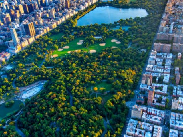 🌳 센트럴 파크: 도심 속의 초록 쉼터