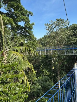 Forest Research Institute Malaysia (FRIM)