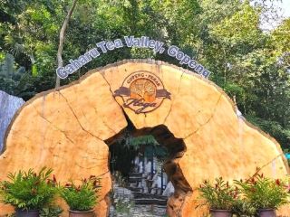 ガハルティーバレー – 香り豊かな森の逃避行