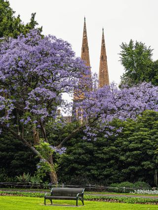 墨爾本旅遊 – 自然與美食