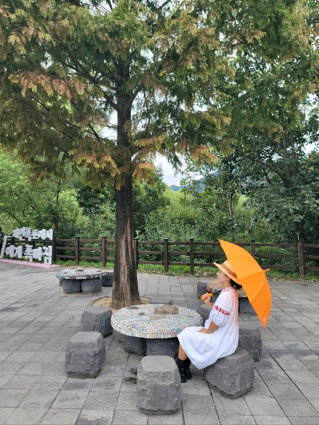 폭포와 황화코스모스 모두를 즐기는 연천여행지🧡