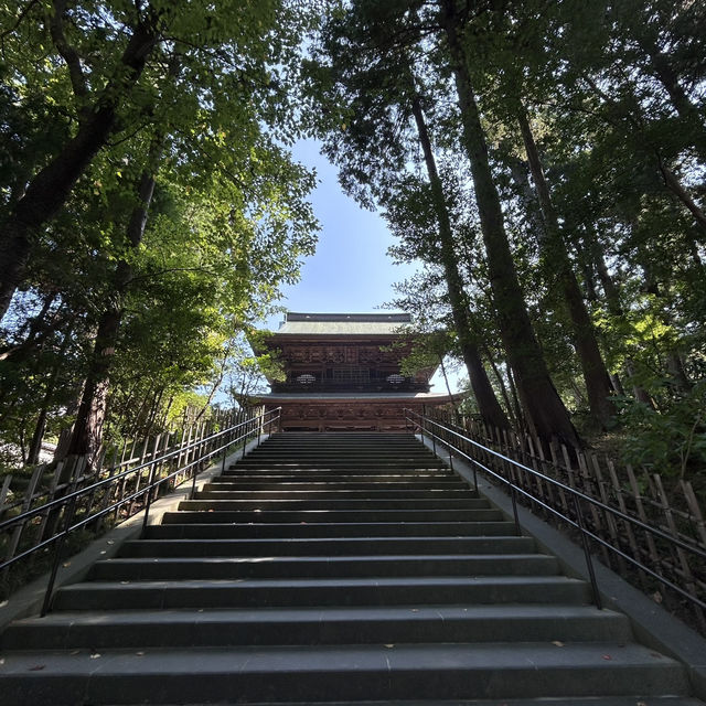 Passing Through History: The Sanmon Gate of Engaku-ji, Kamakura ⛩️
