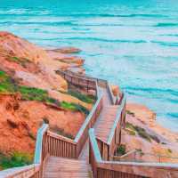 アデレード🇦🇺