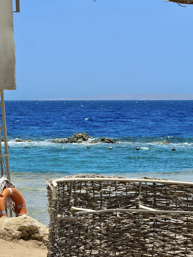 🩵 Red Sea coast is too beautiful!! Egypt 🇪🇬