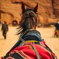 Review – Petra, Jordan