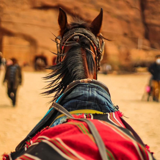 Review – Petra, Jordan