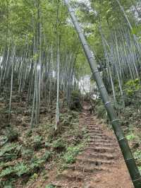 Trekking in beautiful Moganshan mountain 莫干山