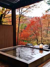 Hakone Autumn Season Guide 🍁🏞️ 