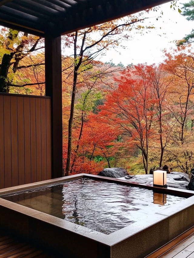 Hakone Autumn Season Guide 🍁🏞️ 