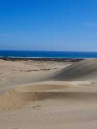 Giant Sand Dunes – Nature’s Majestic Playground in New Zealand