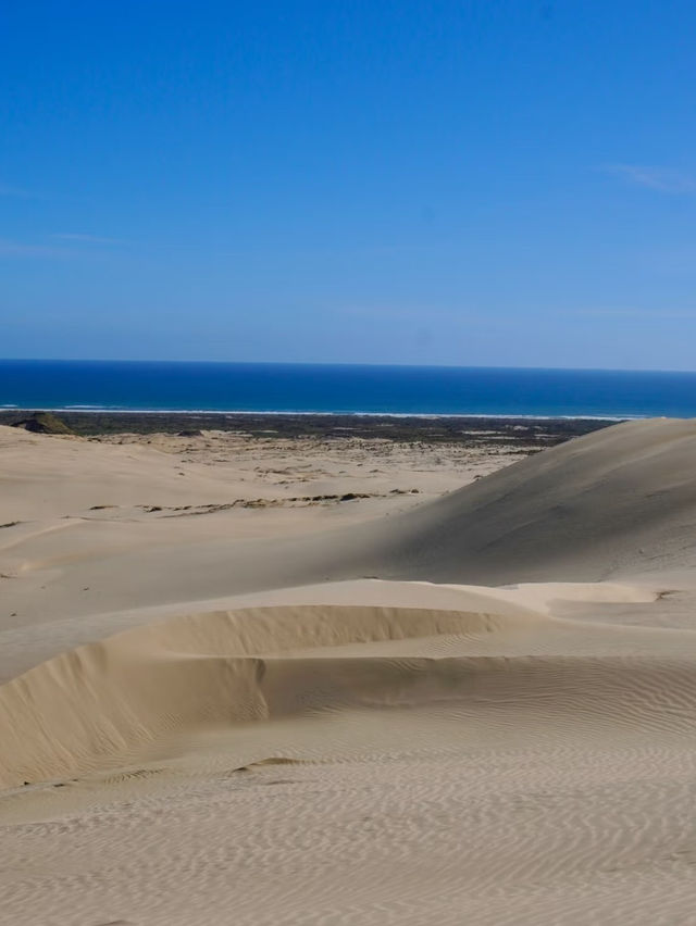 Giant Sand Dunes – Nature’s Majestic Playground in New Zealand Giant Sand Dunes – Nature’s Majestic Playground in New Zealand