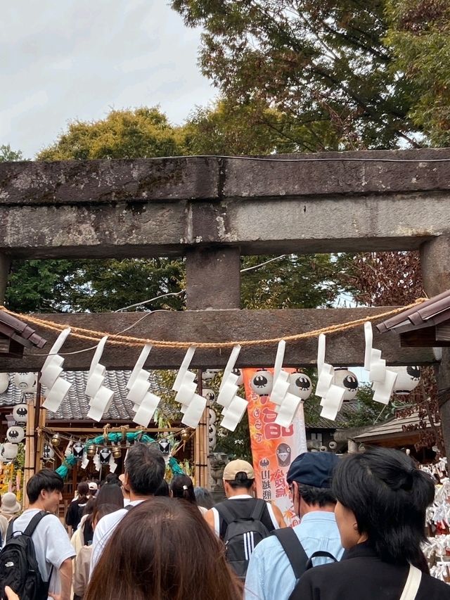 Kawagoe Day Trip : เมืองเล็กใกล้โตเกียว Kawagoe Day Trip : เมืองเล็กใกล้โตเกียว