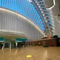 Ciutat de les Arts i les Ciències A Futuristic Cultural Wonderland