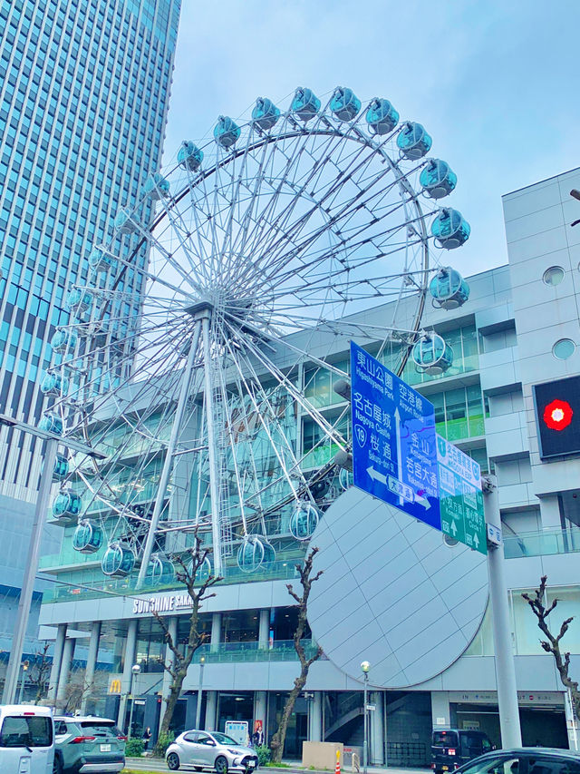 🏯✨“나고야 당일치기 여행코스 – 나고야성