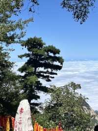 ⛰ How to Conquer Huashan (华山) — Choosing Your Route