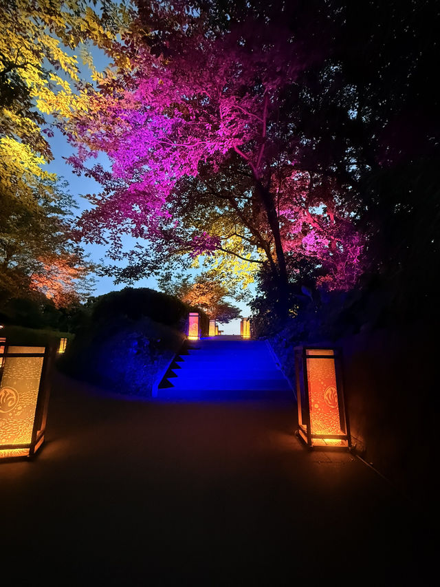 神奈川|夜遊江之島 江島神社夢幻點燈 像置身虛幻仙境 神奈川|夜遊江之島 江島神社夢幻點燈 像置身虛幻仙境