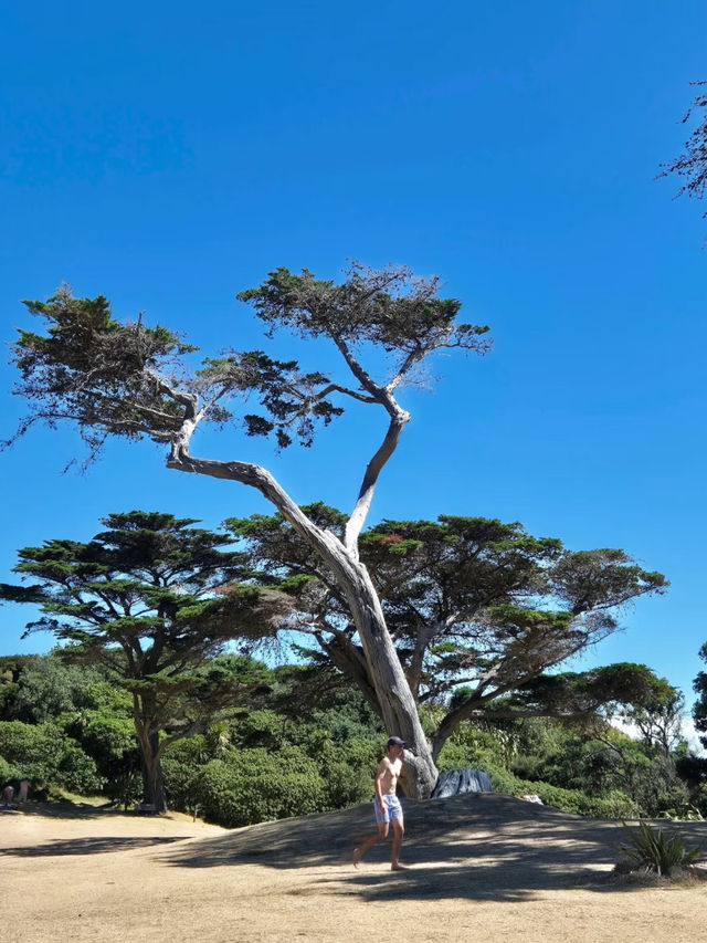 Revolving Around the Beauty of Nature: Trails – New Zealand 