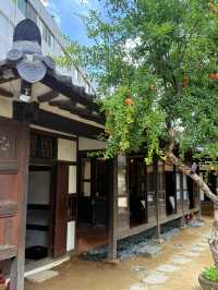 大邱｜青蘿坡90階樓梯是三一運動聖地 現代胡同看近代史